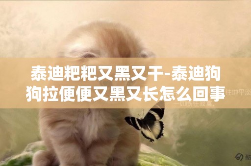 泰迪粑粑又黑又干-泰迪狗狗拉便便又黑又長怎么回事
