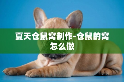 夏天倉鼠窩制作-倉鼠的窩怎么做