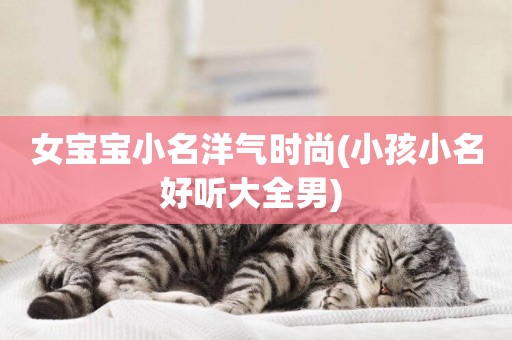 女寶寶小名洋氣時尚(小孩小名好聽大全男) 