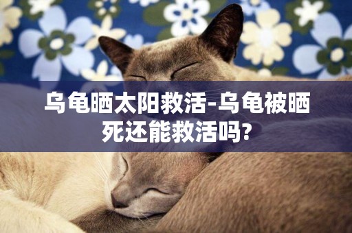 烏龜曬太陽救活-烏龜被曬死還能救活嗎?