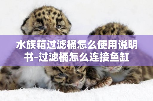 水族箱過濾桶怎么使用說明書-過濾桶怎么連接魚缸