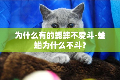 為什么有的蟋蟀不愛斗-蛐蛐為什么不斗？