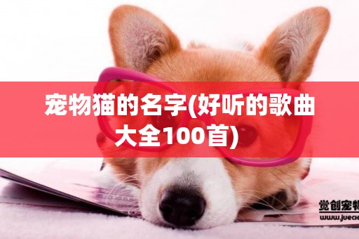寵物貓的名字(好聽的歌曲大全100首) 