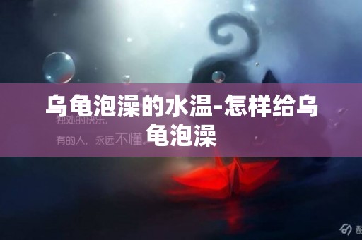 烏龜泡澡的水溫-怎樣給烏龜泡澡