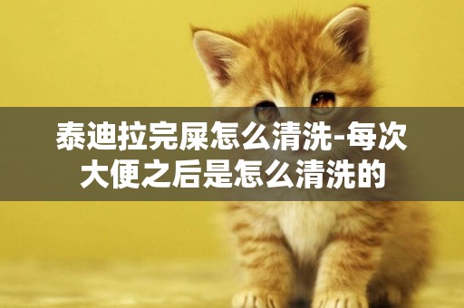 泰迪拉完屎怎么清洗-每次大便之后是怎么清洗的