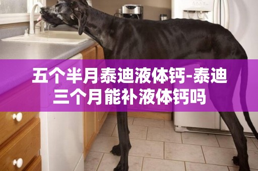 五個半月泰迪液體鈣-泰迪三個月能補液體鈣嗎