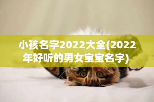 小孩名字2022大全(2022年好聽的男女寶寶名字) 