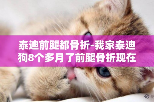 泰迪前腿都骨折-我家泰迪狗8個多月了前腿骨折現在13天啦腿走路不怎
