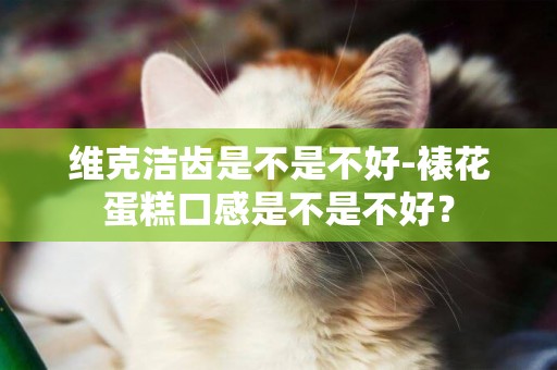 維克潔齒是不是不好-裱花蛋糕口感是不是不好？