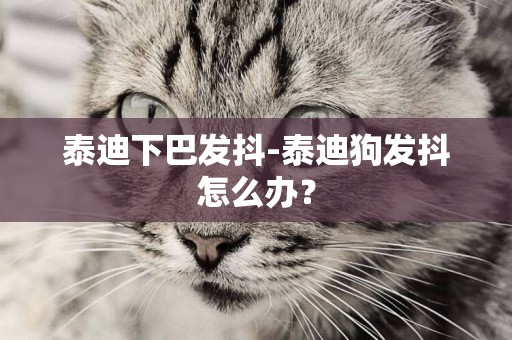 泰迪下巴發抖-泰迪狗發抖怎么辦？