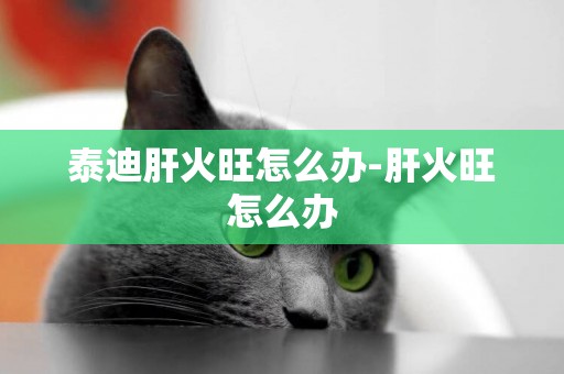 泰迪肝火旺怎么辦-肝火旺怎么辦