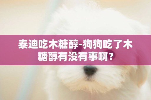 泰迪吃木糖醇-狗狗吃了木糖醇有沒有事啊？