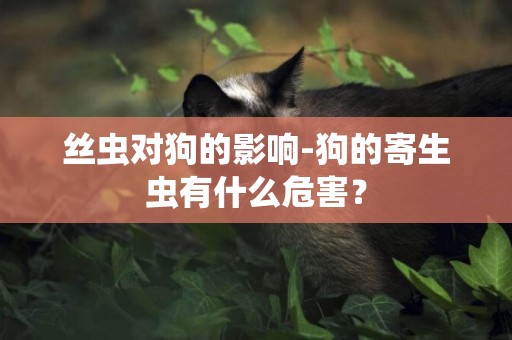 絲蟲對狗的影響-狗的寄生蟲有什么危害？
