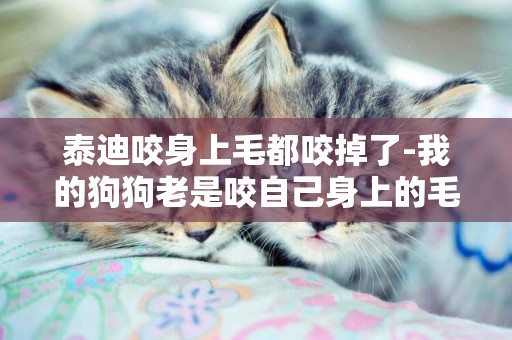 泰迪咬身上毛都咬掉了-我的狗狗老是咬自己身上的毛，為什么，怎么辦？