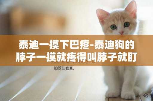 泰迪一摸下巴疼-泰迪狗的脖子一摸就疼得叫脖子就盯著一個方向