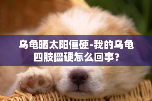 烏龜曬太陽僵硬-我的烏龜四肢僵硬怎么回事？