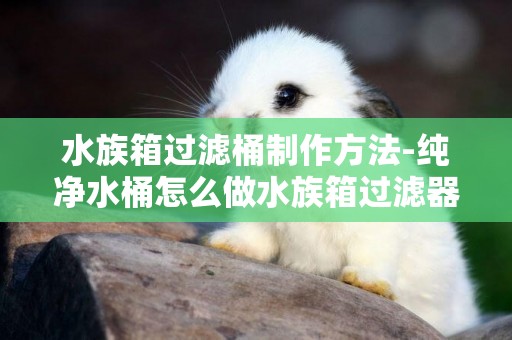 水族箱過濾桶制作方法-純凈水桶怎么做水族箱過濾器