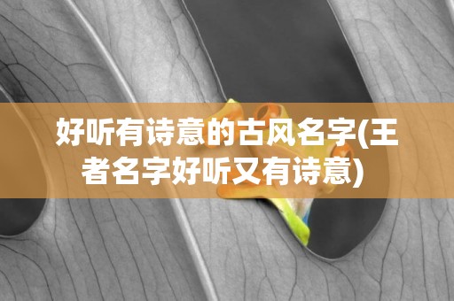 好聽有詩意的古風名字(王者名字好聽又有詩意) 