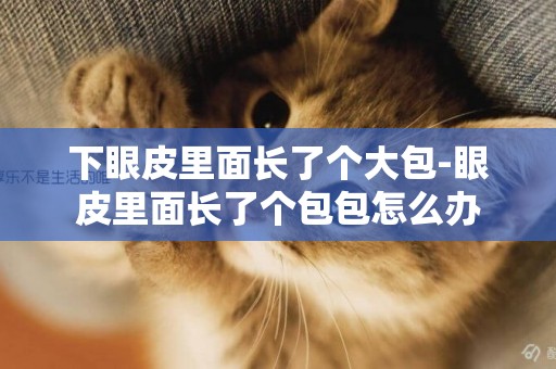 下眼皮里面長了個大包-眼皮里面長了個包包怎么辦