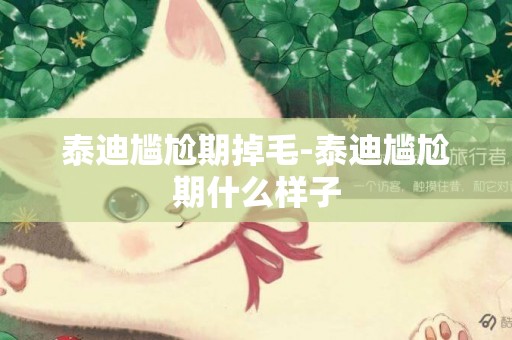 泰迪尷尬期掉毛-泰迪尷尬期什么樣子
