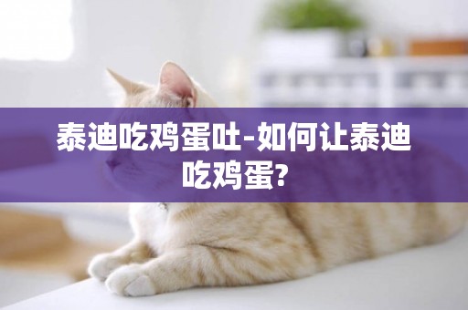 泰迪吃雞蛋吐-如何讓泰迪吃雞蛋?