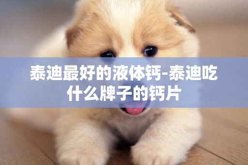 泰迪最好的液體鈣-泰迪吃什么牌子的鈣片