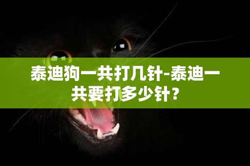 泰迪狗一共打幾針-泰迪一共要打多少針？