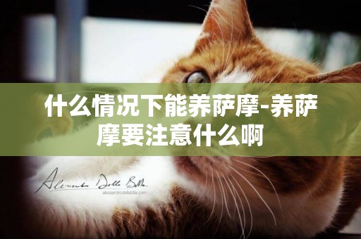 什么情況下能養薩摩-養薩摩要注意什么啊