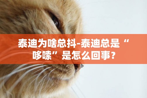 泰迪為啥總抖-泰迪總是“哆嗦”是怎么回事？