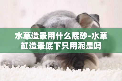 水草造景用什么底砂-水草缸造景底下只用泥是嗎
