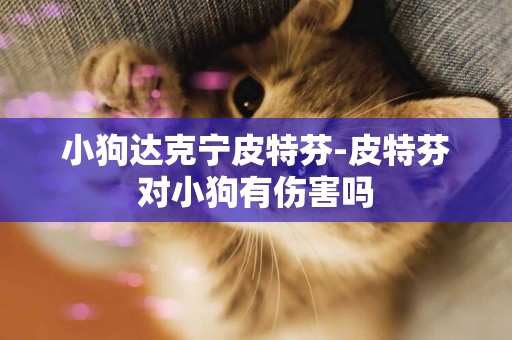 小狗達克寧皮特芬-皮特芬對小狗有傷害嗎