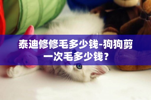 泰迪修修毛多少錢-狗狗剪一次毛多少錢？