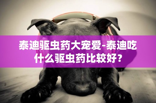 泰迪驅蟲藥大寵愛-泰迪吃什么驅蟲藥比較好？