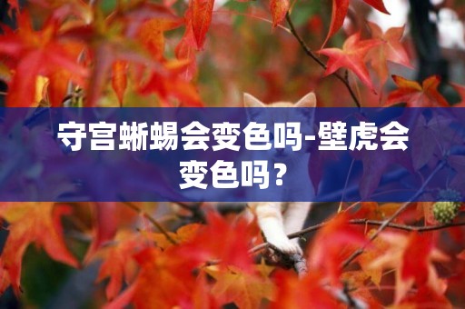 守宮蜥蜴會變色嗎-壁虎會變色嗎？