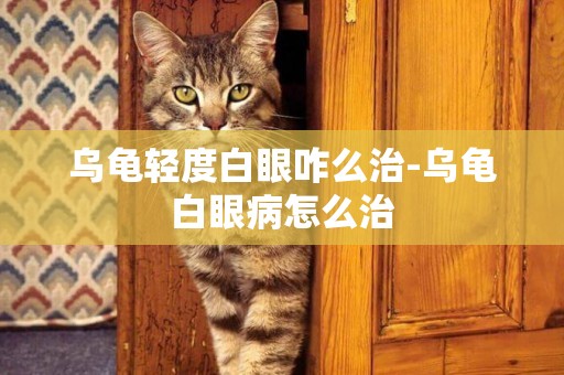 烏龜輕度白眼咋么治-烏龜白眼病怎么治