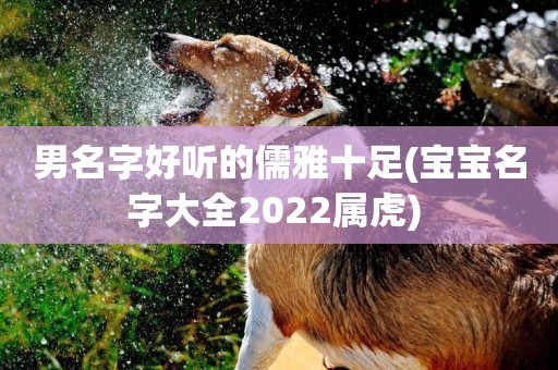 男名字好聽的儒雅十足(寶寶名字大全2022屬虎) 