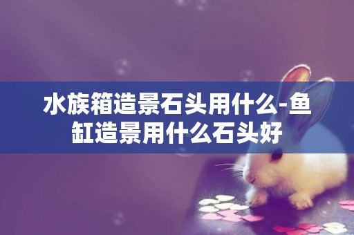 水族箱造景石頭用什么-魚缸造景用什么石頭好