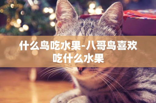 什么鳥吃水果-八哥鳥喜歡吃什么水果