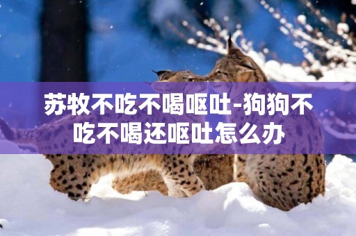 蘇牧不吃不喝嘔吐-狗狗不吃不喝還嘔吐怎么辦