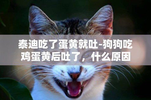 泰迪吃了蛋黃就吐-狗狗吃雞蛋黃后吐了，什么原因