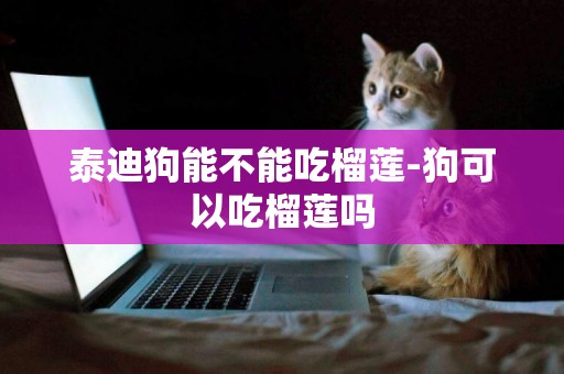 泰迪狗能不能吃榴蓮-狗可以吃榴蓮嗎