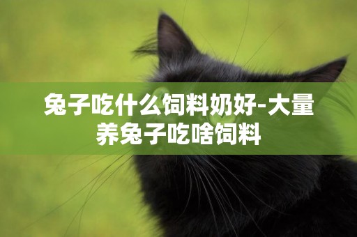 兔子吃什么飼料奶好-大量養兔子吃啥飼料