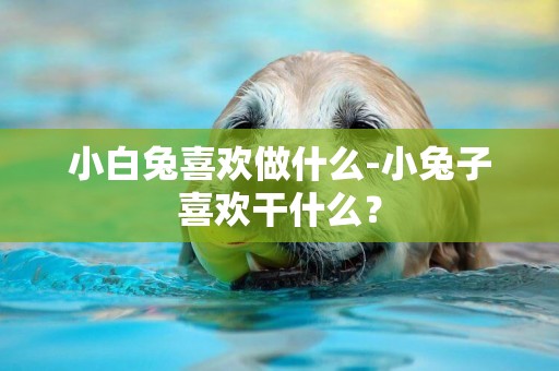 小白兔喜歡做什么-小兔子喜歡干什么？