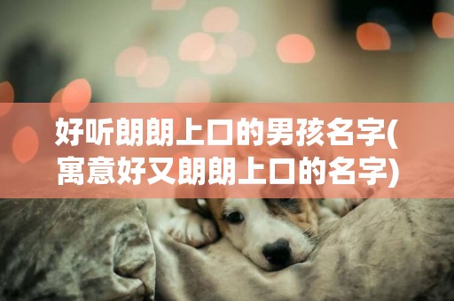 好聽朗朗上口的男孩名字(寓意好又朗朗上口的名字) 