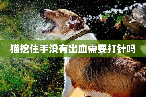 貓挖住手沒有出血需要打針嗎