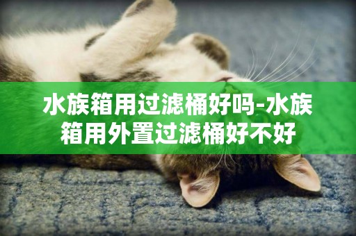 水族箱用過濾桶好嗎-水族箱用外置過濾桶好不好