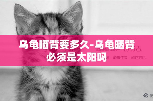 烏龜曬背要多久-烏龜曬背必須是太陽嗎