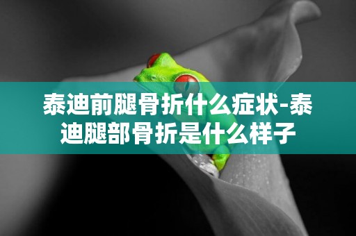 泰迪前腿骨折什么癥狀-泰迪腿部骨折是什么樣子