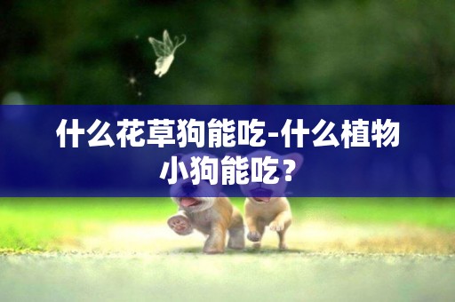 什么花草狗能吃-什么植物小狗能吃？