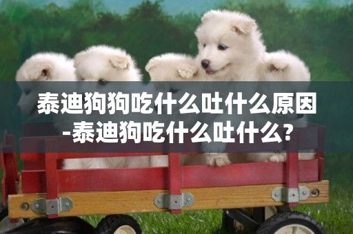 泰迪狗狗吃什么吐什么原因-泰迪狗吃什么吐什么?